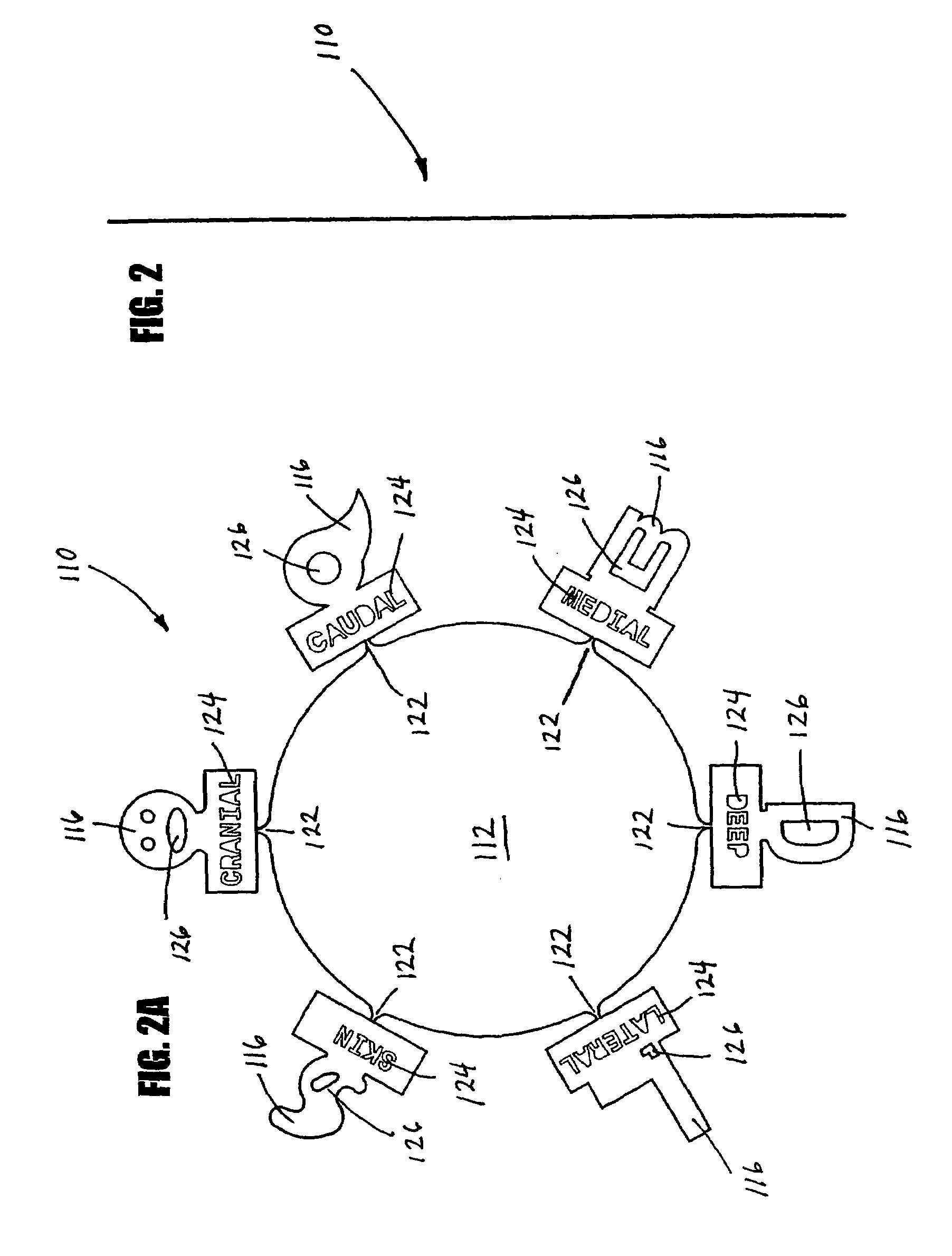 Device and method for margin marking tissue to be radiographed