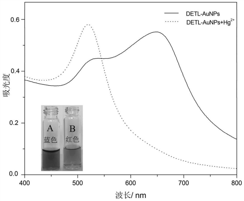 A kind of mercury ion detection reagent and preparation method and application thereof