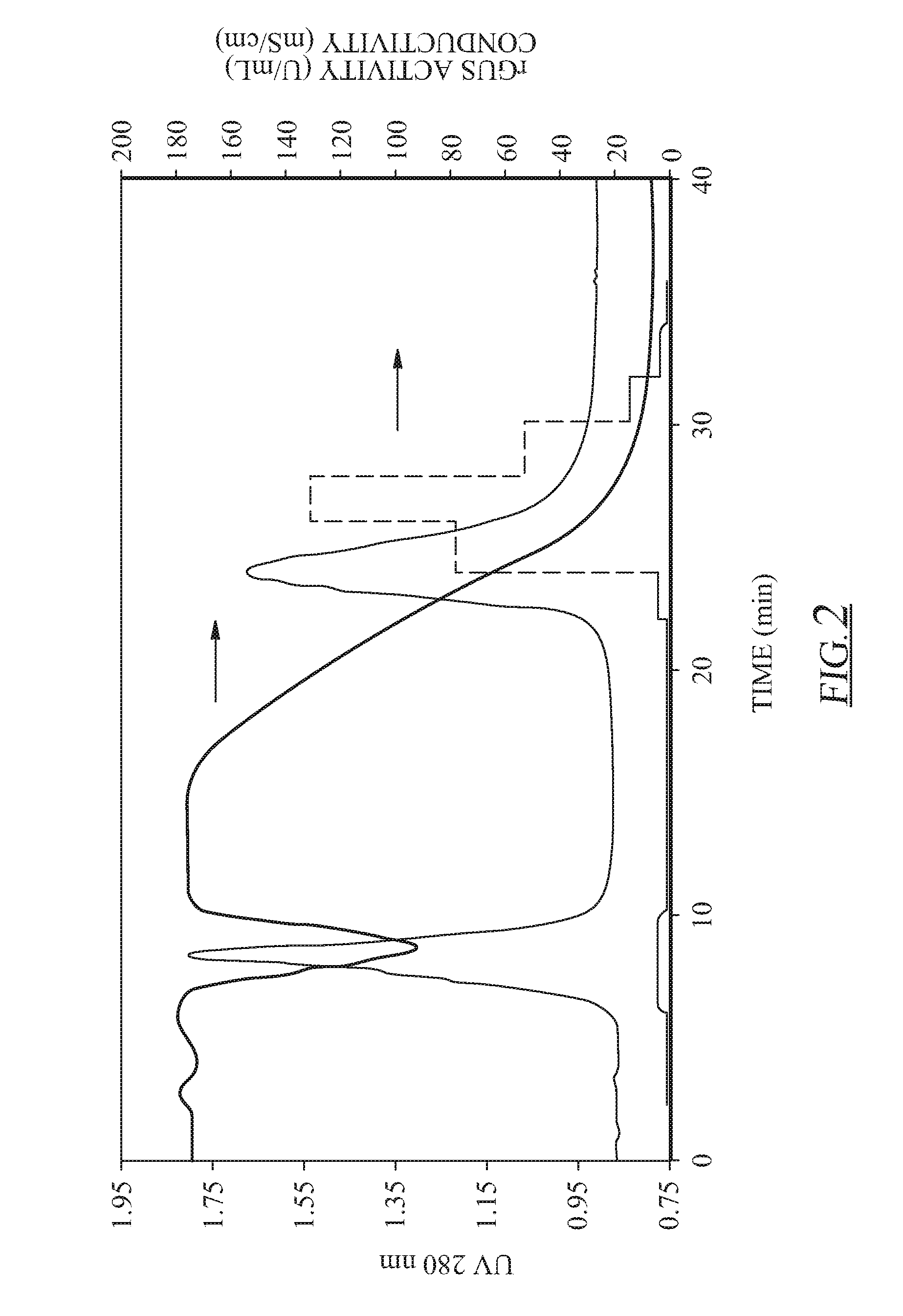 Method of purifying acidic proteins expressed in plants