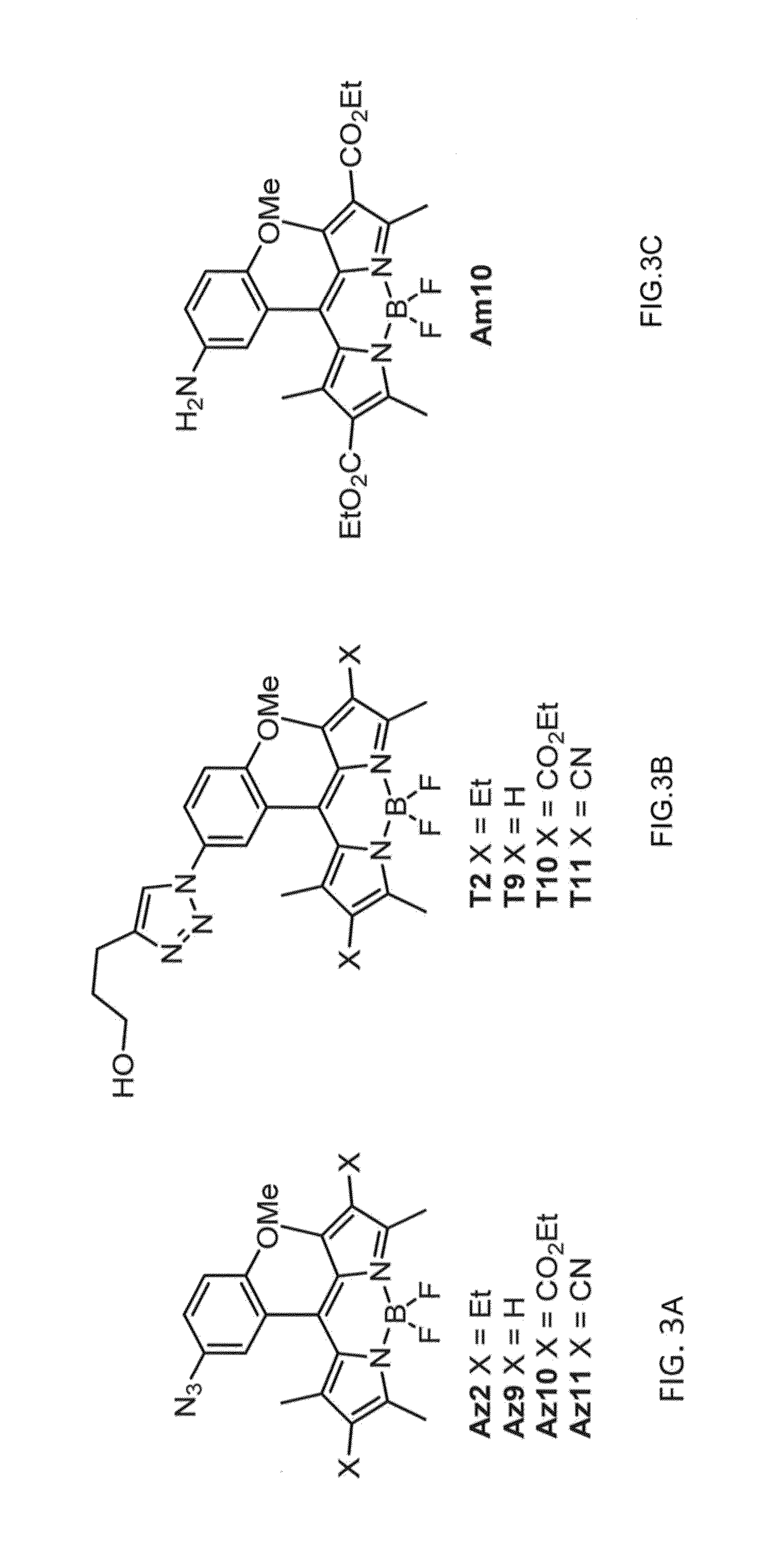 Reactive labelling compounds and uses thereof