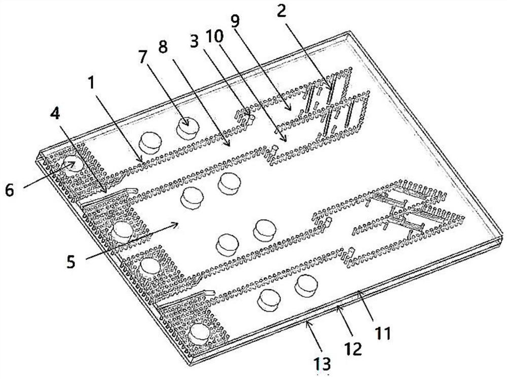 Novel MIMO millimeter wave oblique polarization antenna for 5G