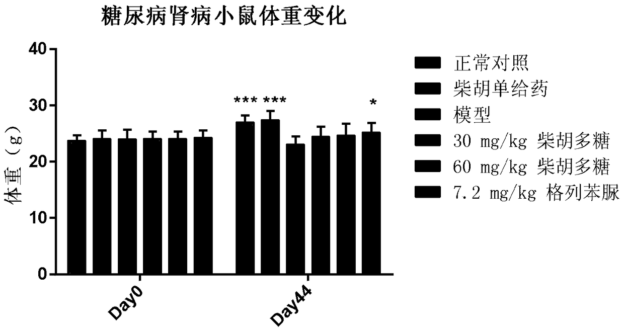 Application of Bupleurum polysaccharide in preparing medicine for preventing and treating diabetic nephropathy