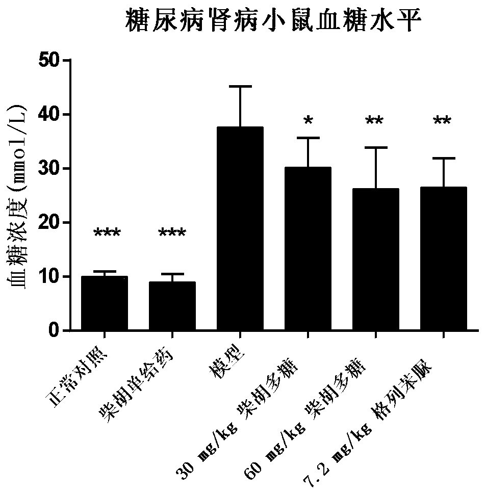 Application of Bupleurum polysaccharide in preparing medicine for preventing and treating diabetic nephropathy