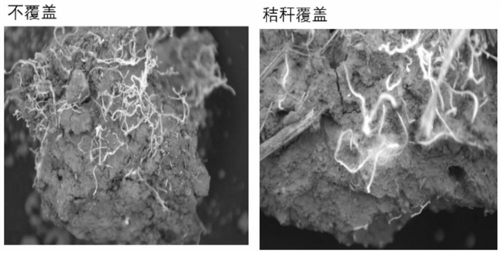 A method for determining the optimal water and moisture storage and moisture conservation of winter wheat-summer maize in the dry land of southwest hills