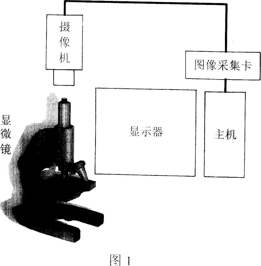Method for measuring reflectivity of mineral and composition of mineral phase