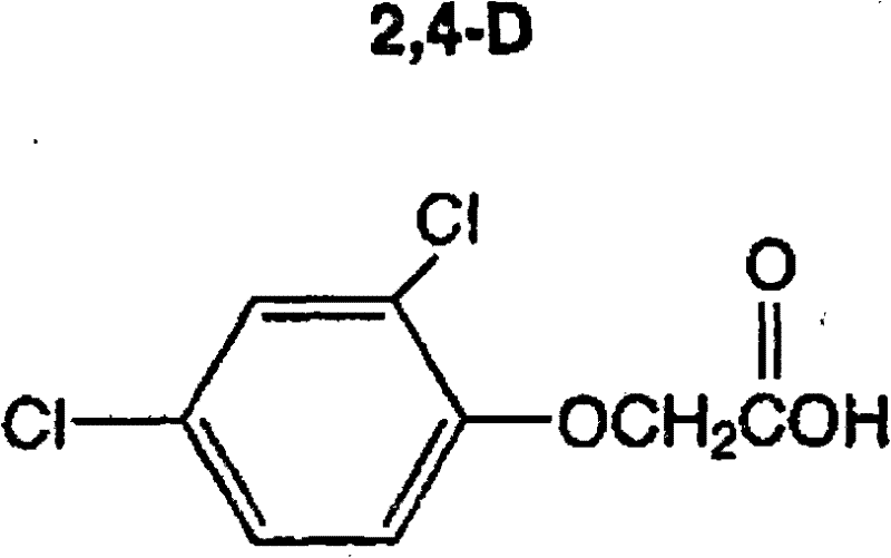 A herbicidal composition containing bentazone and 2,4-dichlorophenoxyacetic acid and its application