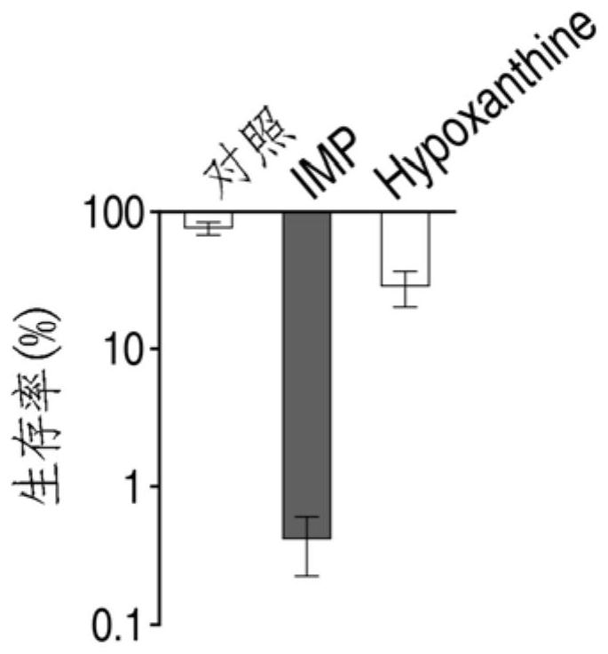 Application of hypoxanthine nucleotide in preparation of anti-infective drugs