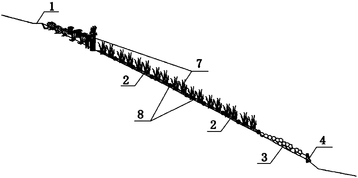 A structure system and restoration method for ecological restoration of a lakeside zone