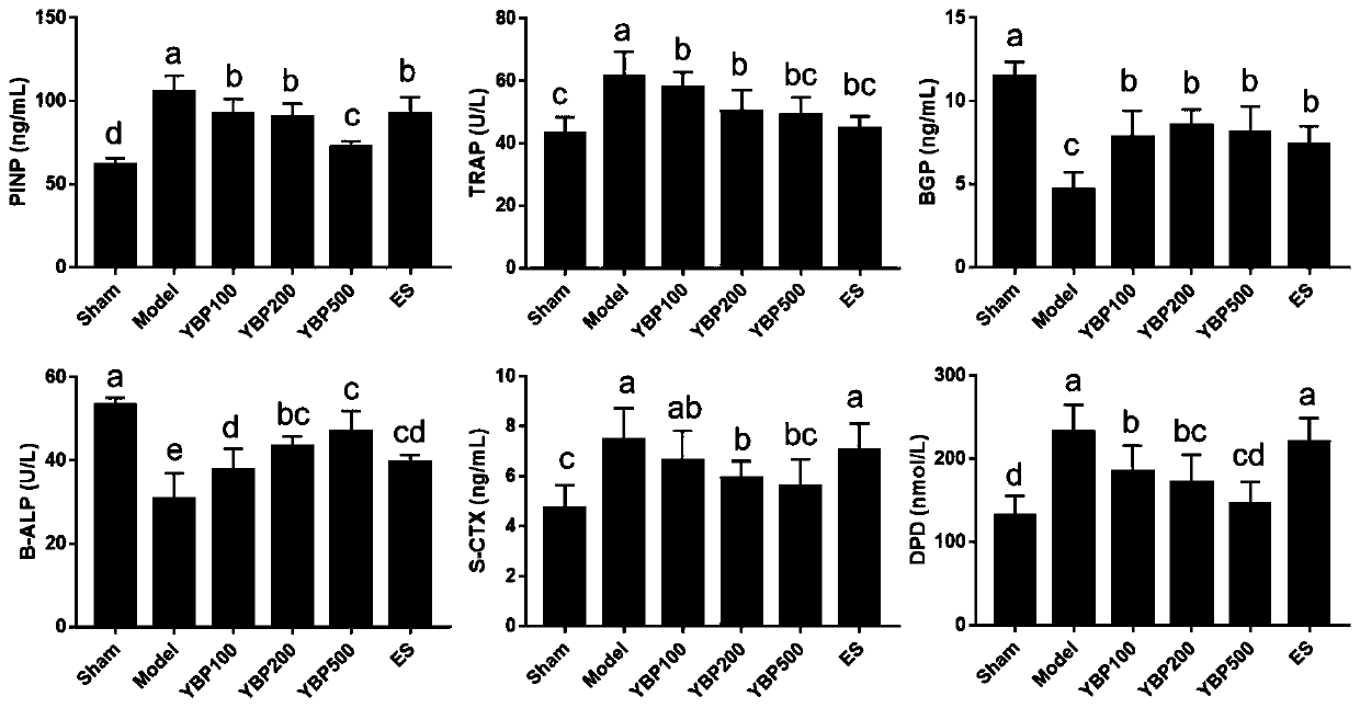 Biomarker for ossotide interventional therapy of osteoporosis, screening method and application