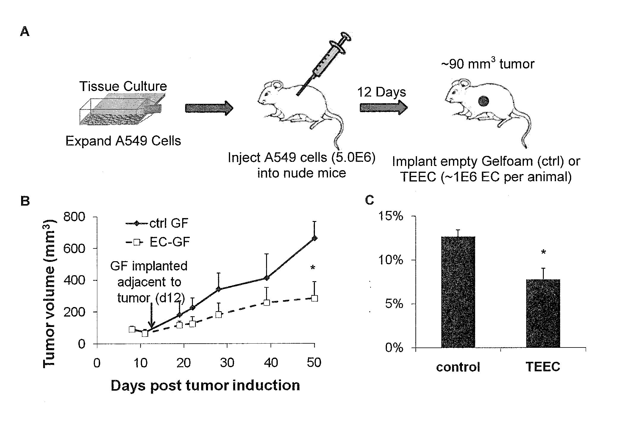 Methods and Compositions for Managing Cancer Cell Growth