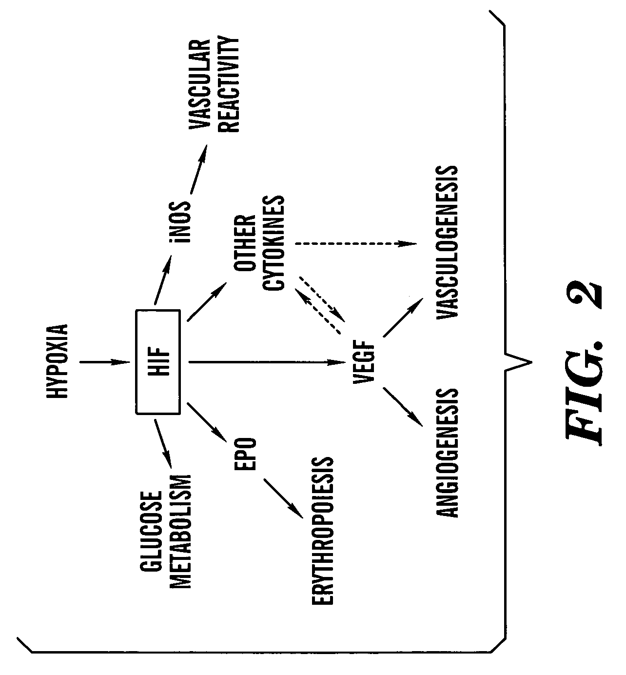 Method of treating or preventing pathologic effects of acute increases in hyperglycemia and/or acute increases of free fatty acid flux