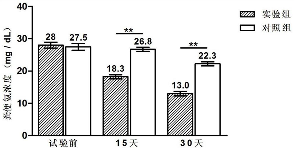 A kind of compound lactic acid bacteria microecological preparation and its preparation method and application