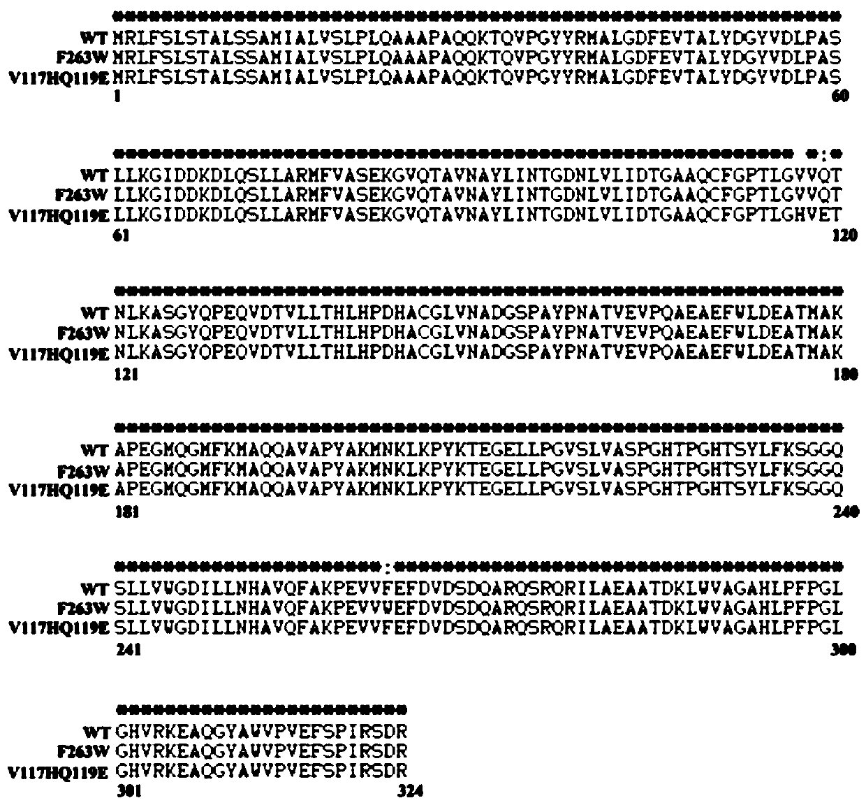 Methyl parathion hydrolase mutant with improved enzymatic performance and application thereof