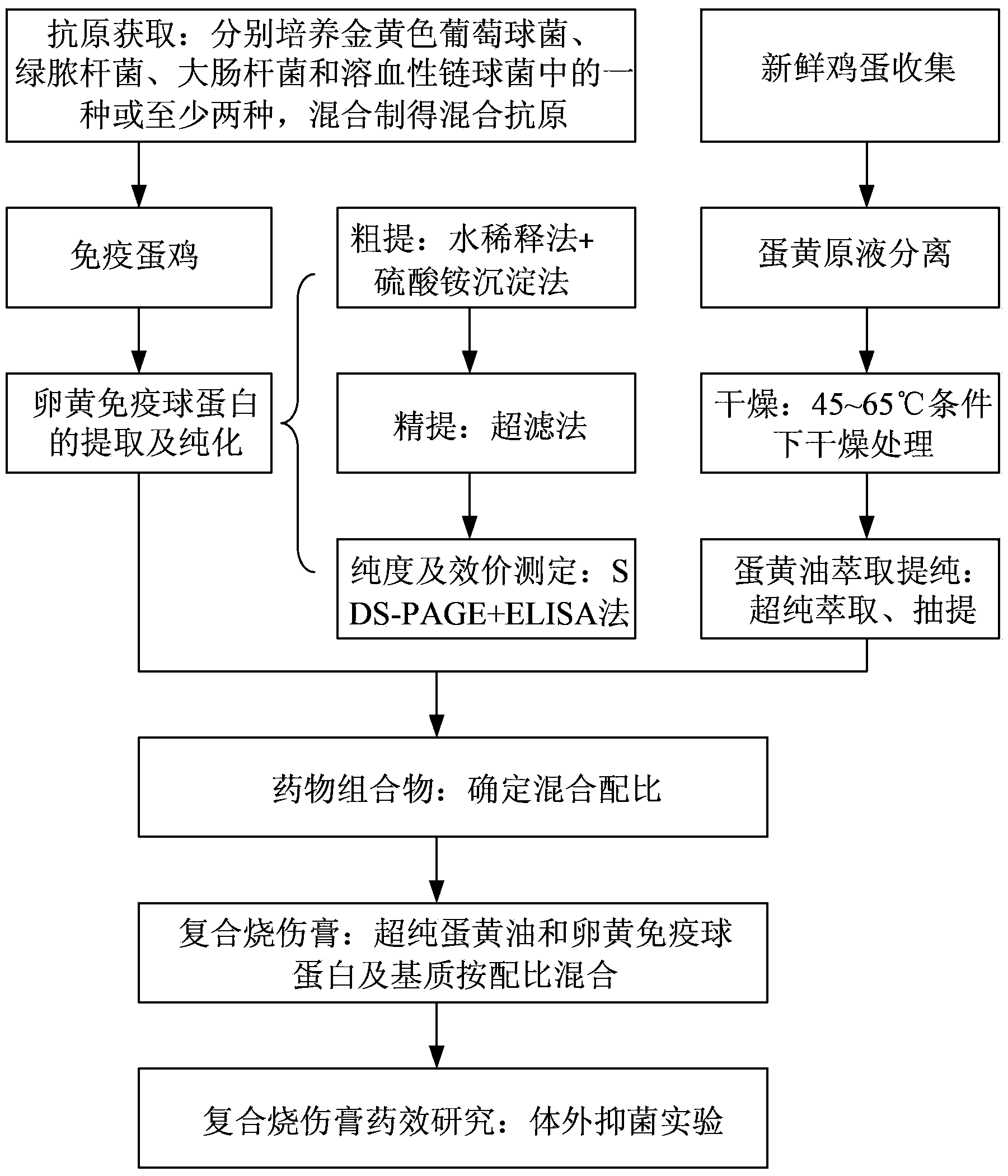 Pharmaceutical composition and composite burn cream for treating burns and scalds and preparation method thereof