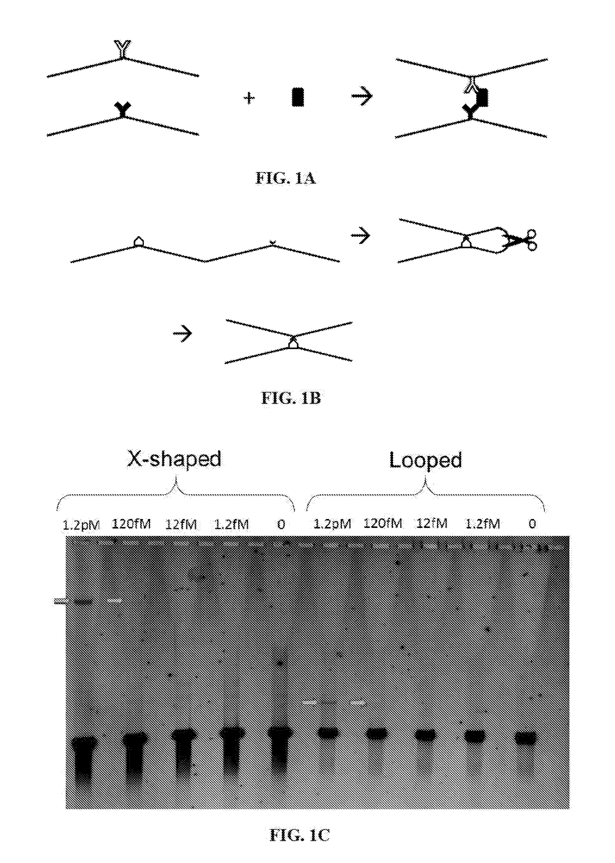 Method for detection of analytes via polymer complexes