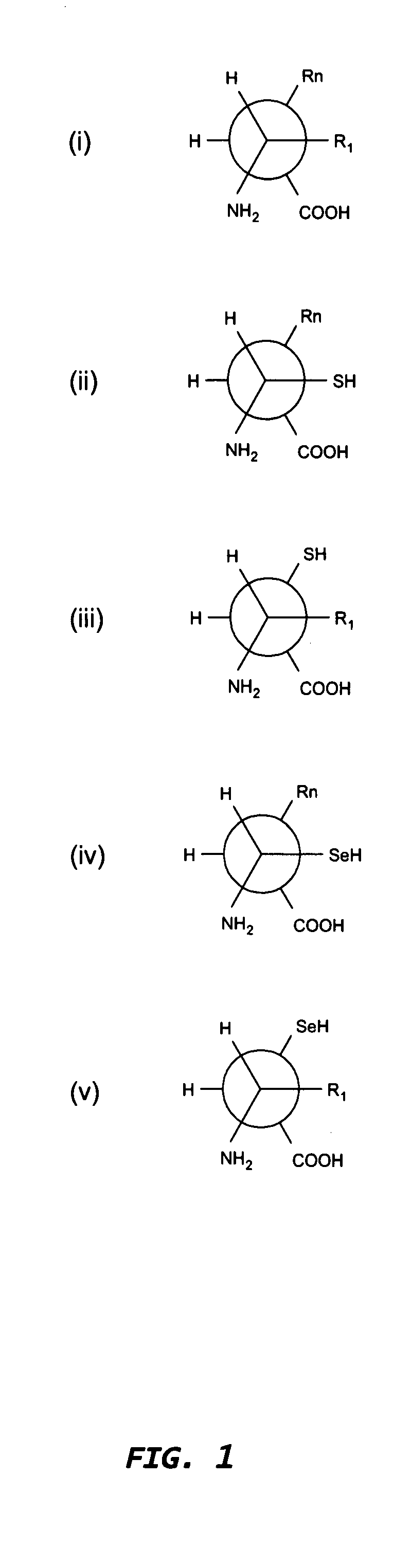 Hybrid immunoglobulins with moving parts