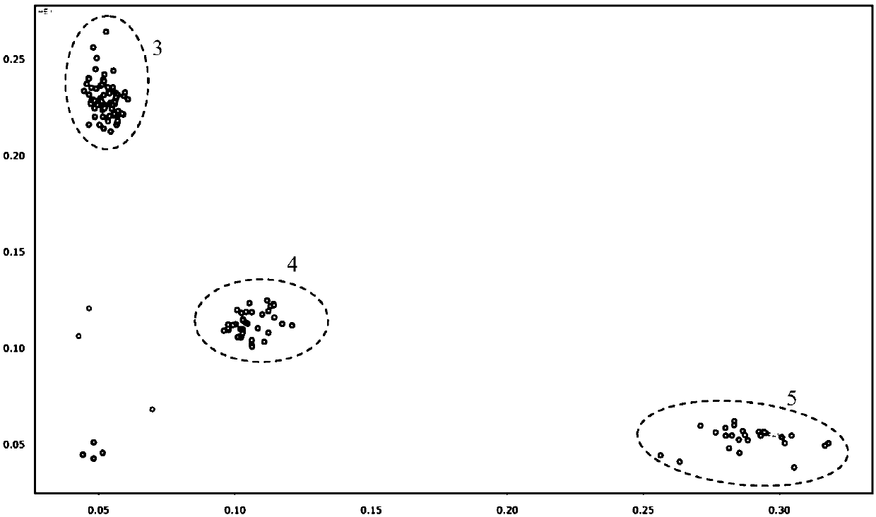 SNP marker co-separated from maize gray leaf spot resistant main effect QTL-qRgls1 and application of SNP marker