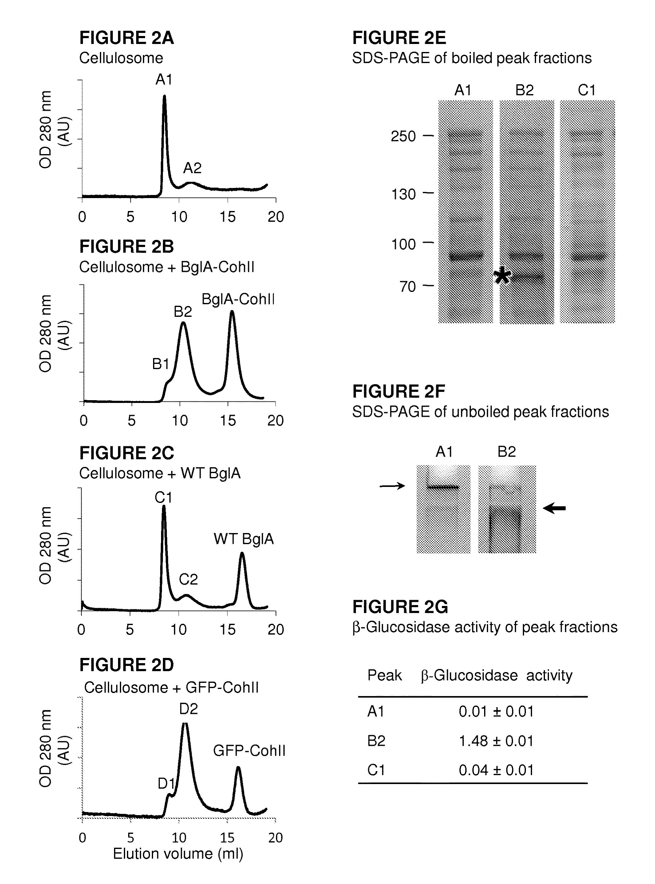 Fusion proteins comprising type-II cohesin modules, multi-enzyme complexes comprising same and uses thereof