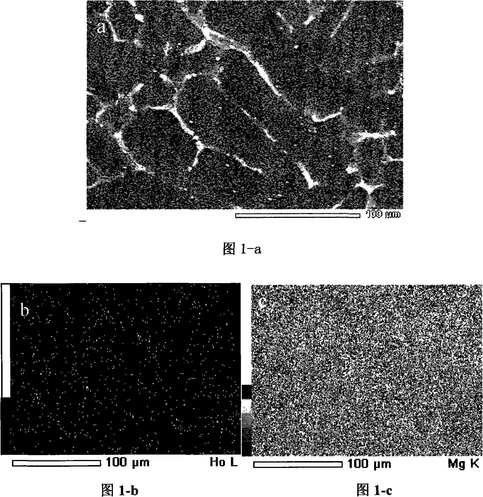 Mg-Li-Ho alloy, and fused salt electrolysis preparation and apparatus thereof