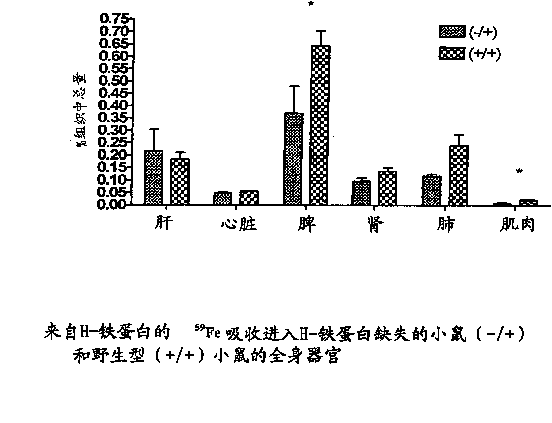 Use of ferritin to treat iron deficiency disorders