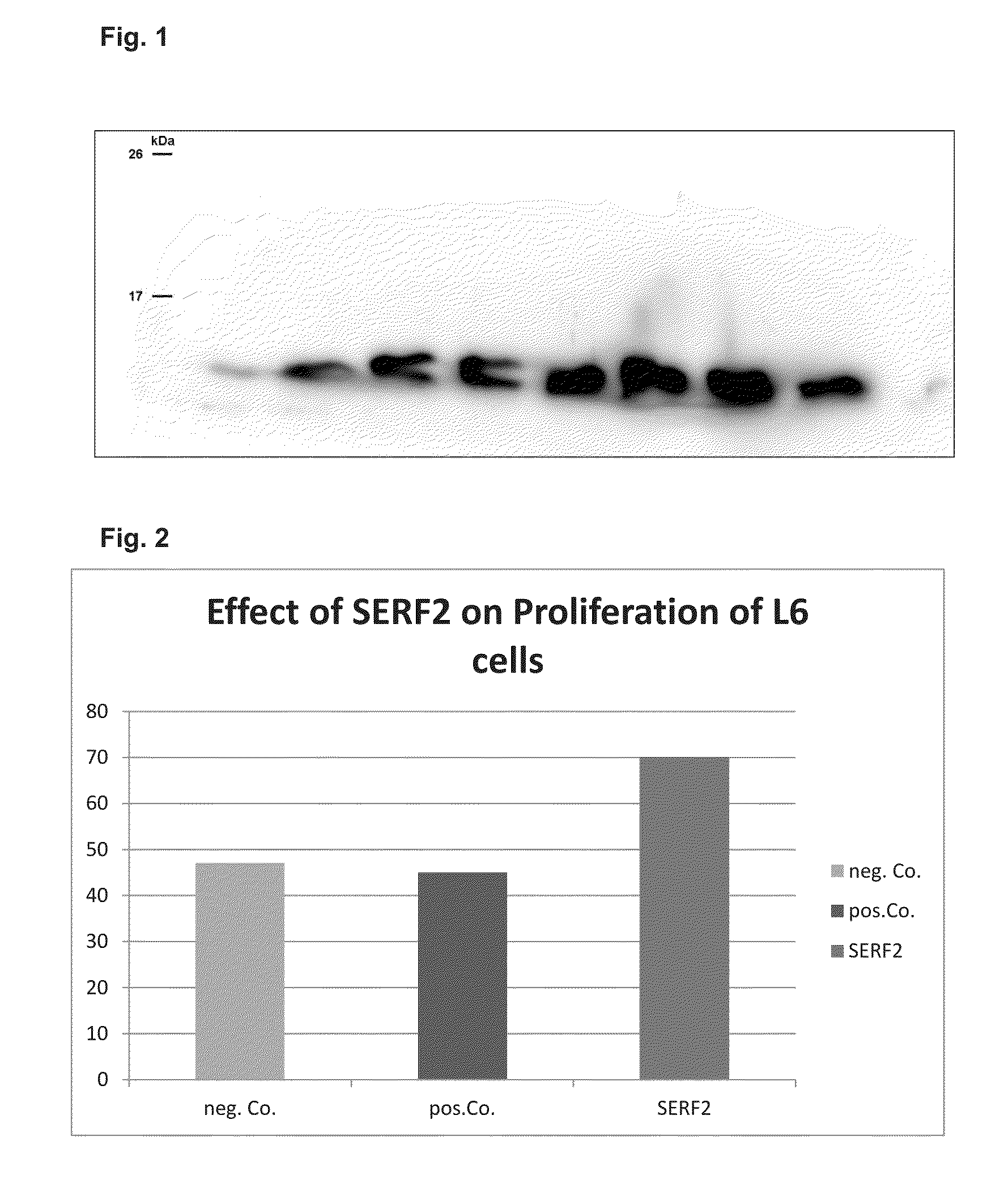 Medicament for atrophy treatment or increasing cell growth