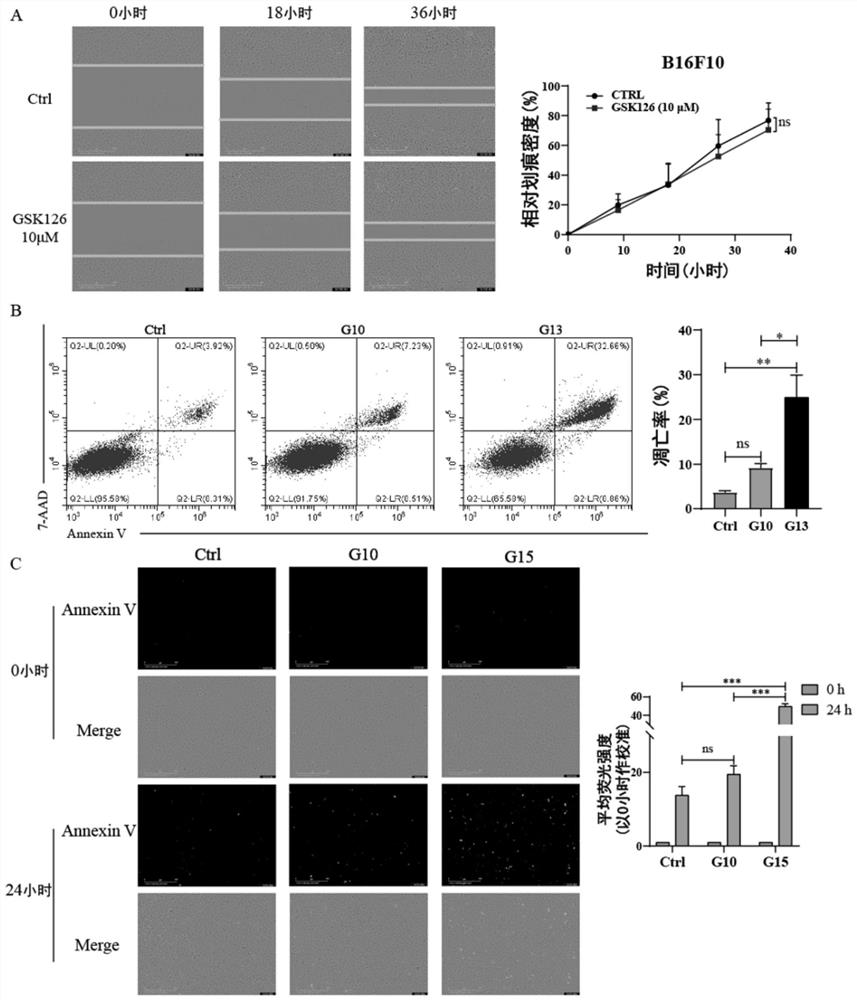 Anti-tumor pharmaceutical composition containing EZH2 inhibitor and SCD1 inhibitor and application of anti-tumor pharmaceutical composition