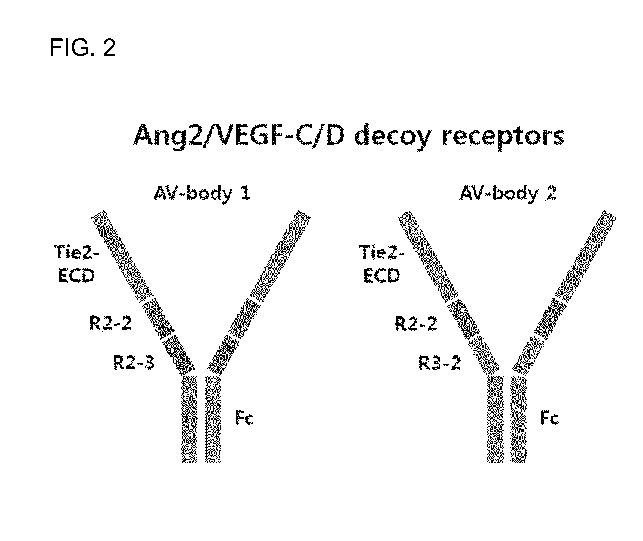 Fusion polypeptide inhibiting vegf-c, vegf-d and/or angiopoietin-2, and use thereof