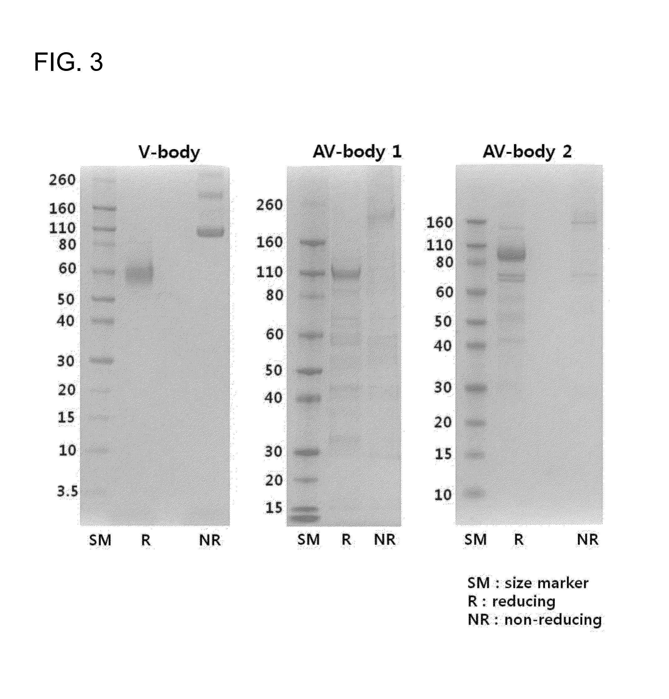 Fusion polypeptide inhibiting vegf-c, vegf-d and/or angiopoietin-2, and use thereof