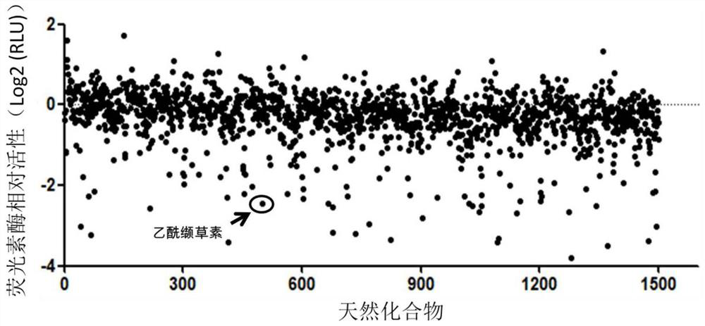 New application of acetylvalerian