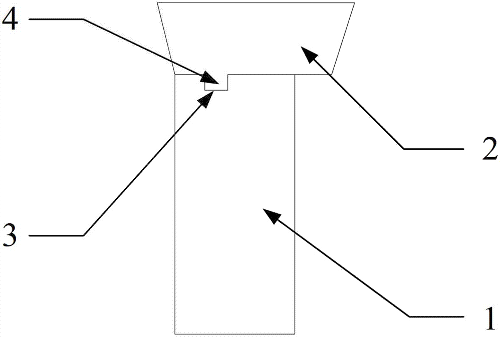 Salient magnetic pole of salient pole synchronous motor and motor