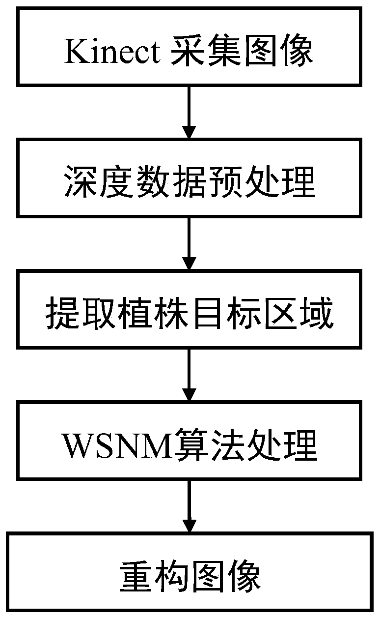 Compressed sampling plant reconstruction method based on non-local self-similar blocks