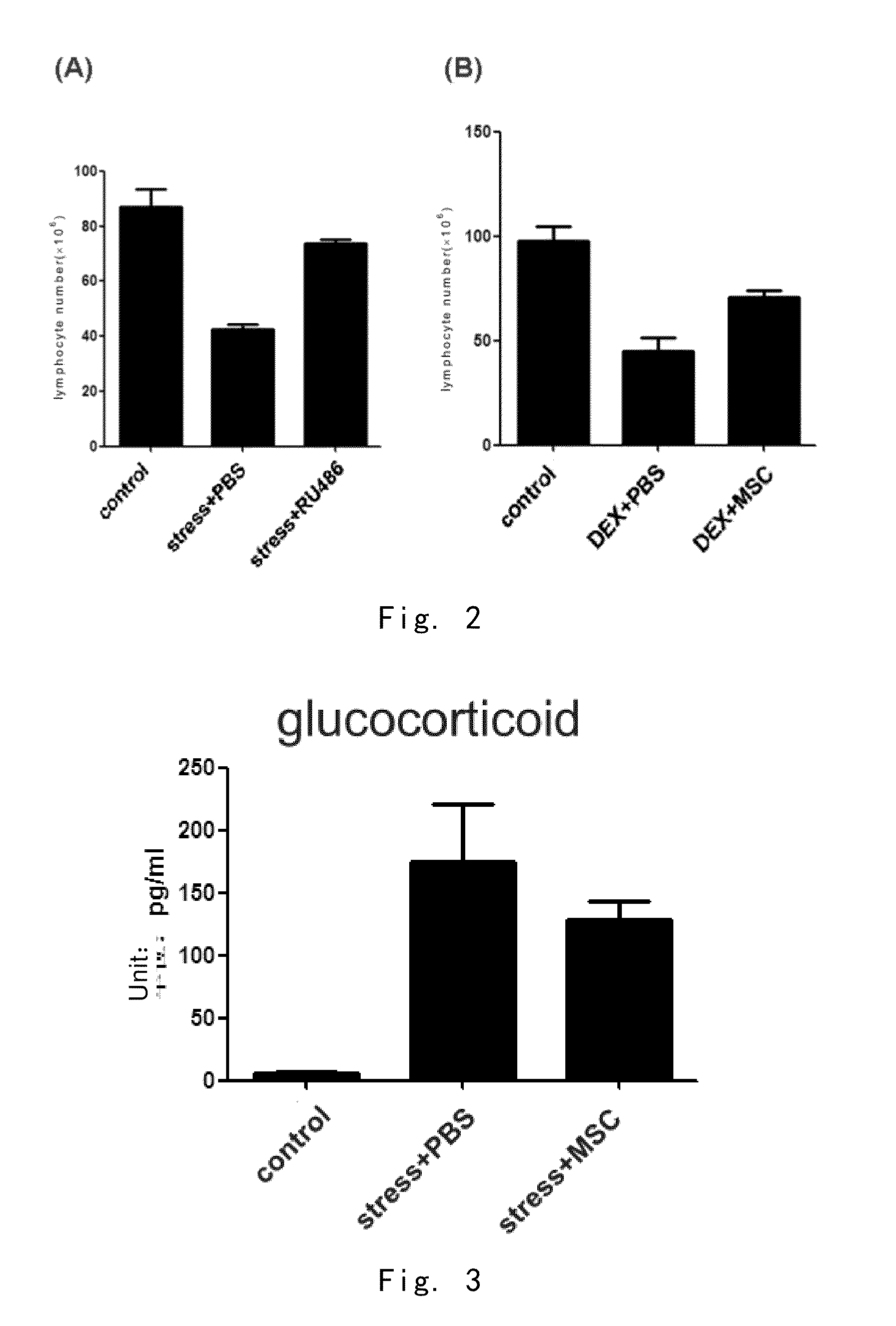 Application of mesenchymal stem cells in prophylaxis or treatment of stress response-induced weakened immunity