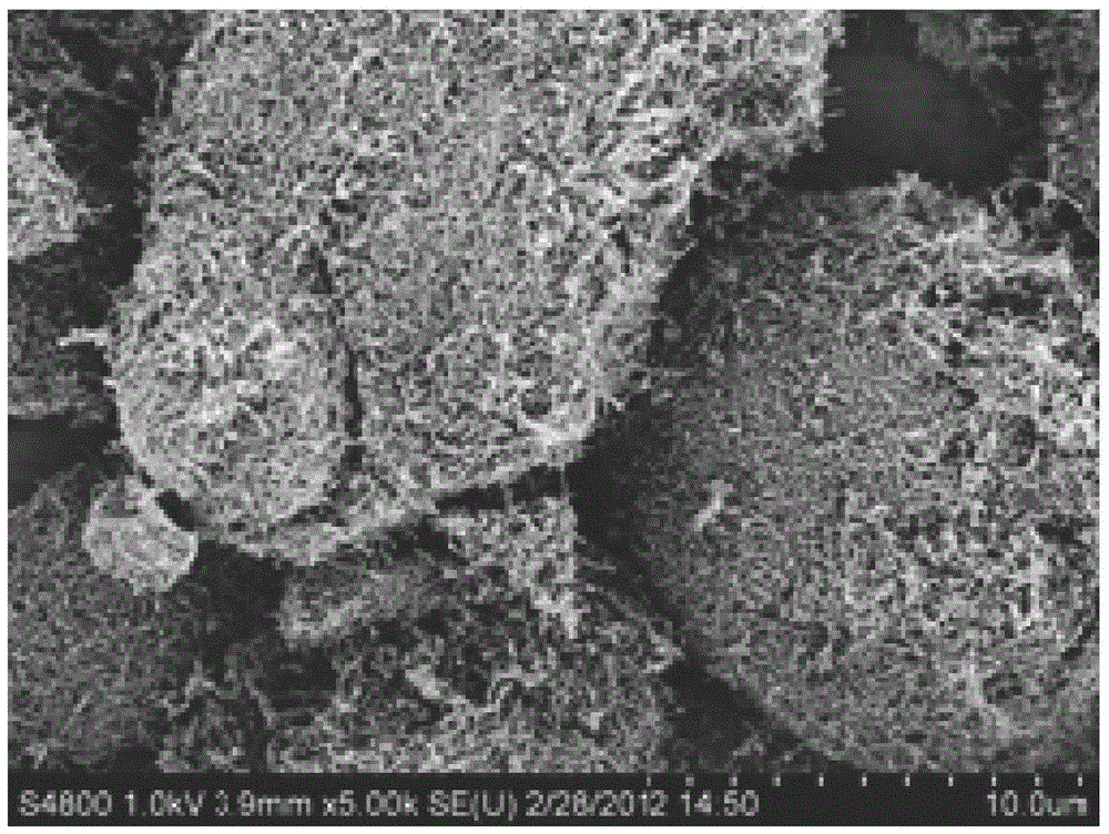 A kind of carbon nanotube conductive paste and preparation method thereof