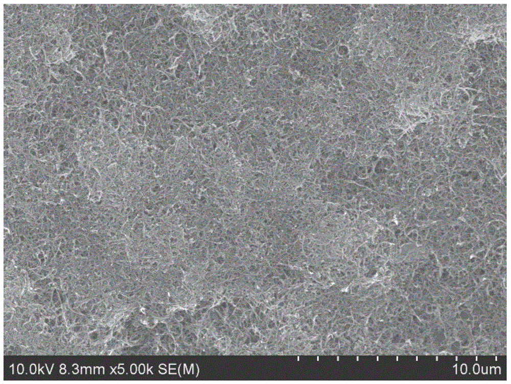 A kind of carbon nanotube conductive paste and preparation method thereof