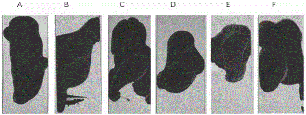 A kind of carbon nanotube conductive paste and preparation method thereof