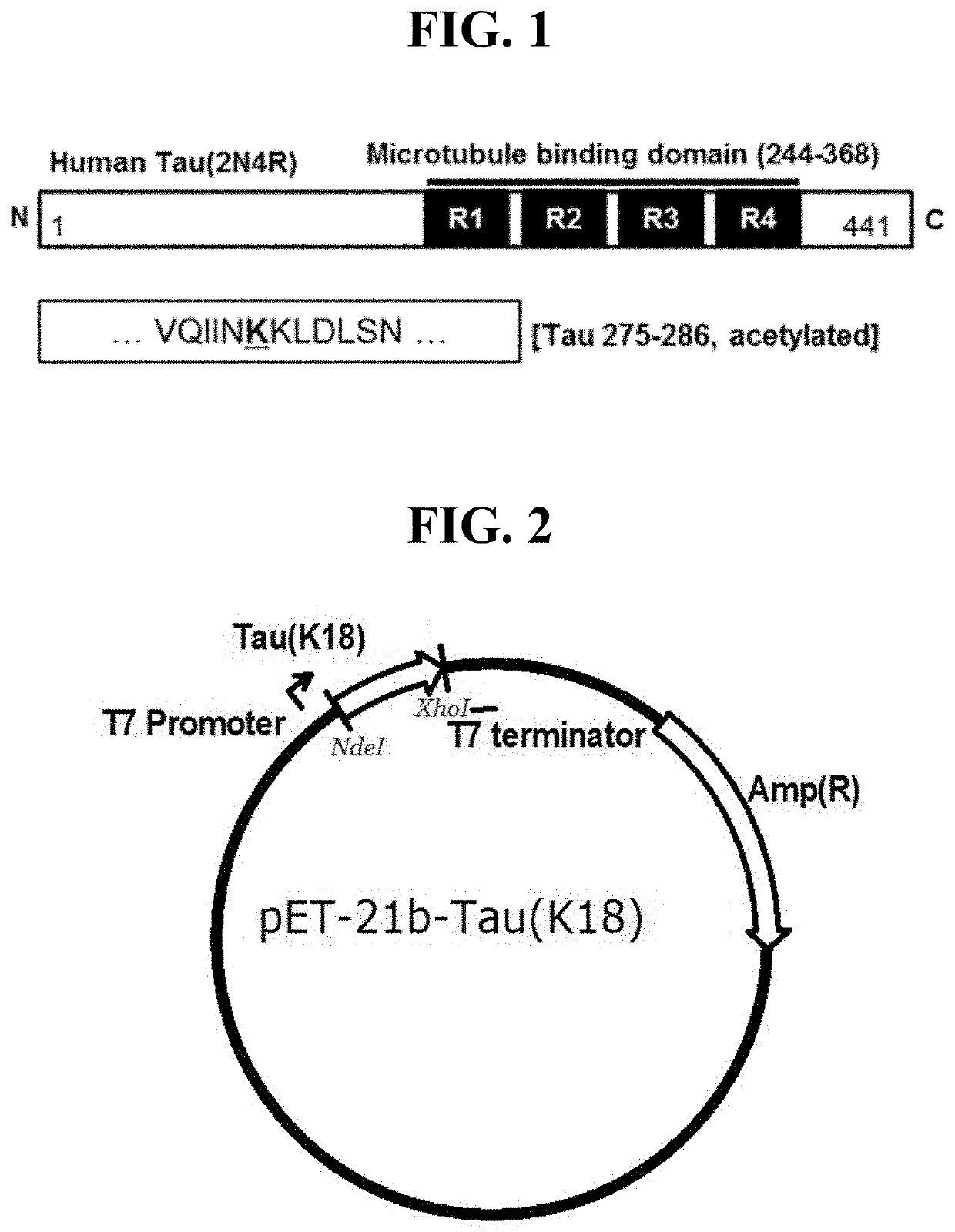 Anti-tau antibody and use of same