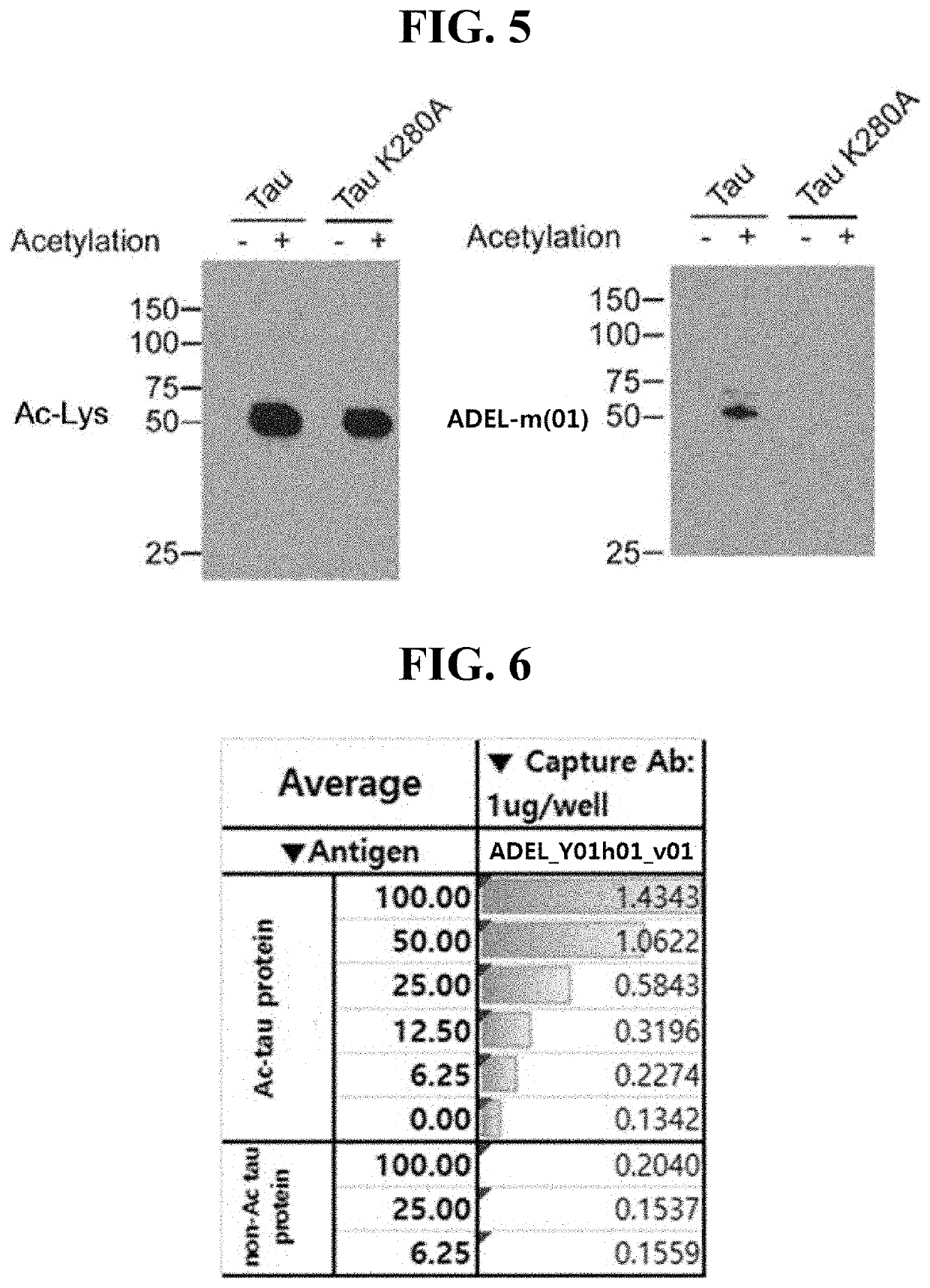 Anti-tau antibody and use of same