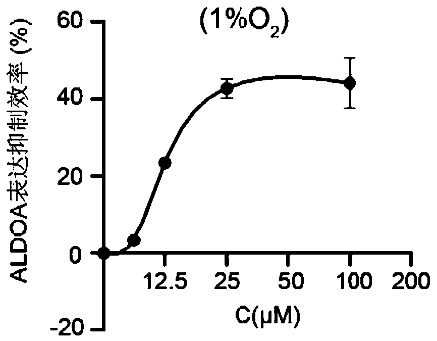 Application of sulfamonomethoxine derivative in preparation of antitumor drugs