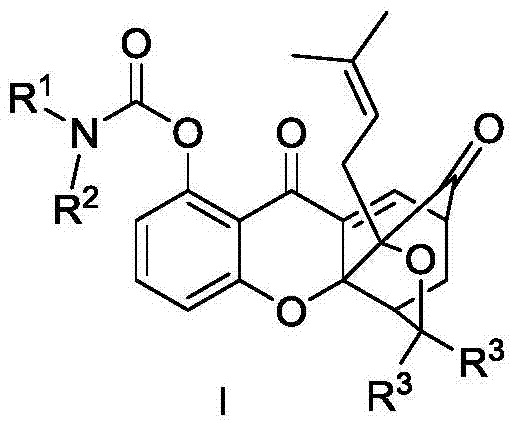 Carbamate bridged ring xanthone derivative, its preparation method and medical use