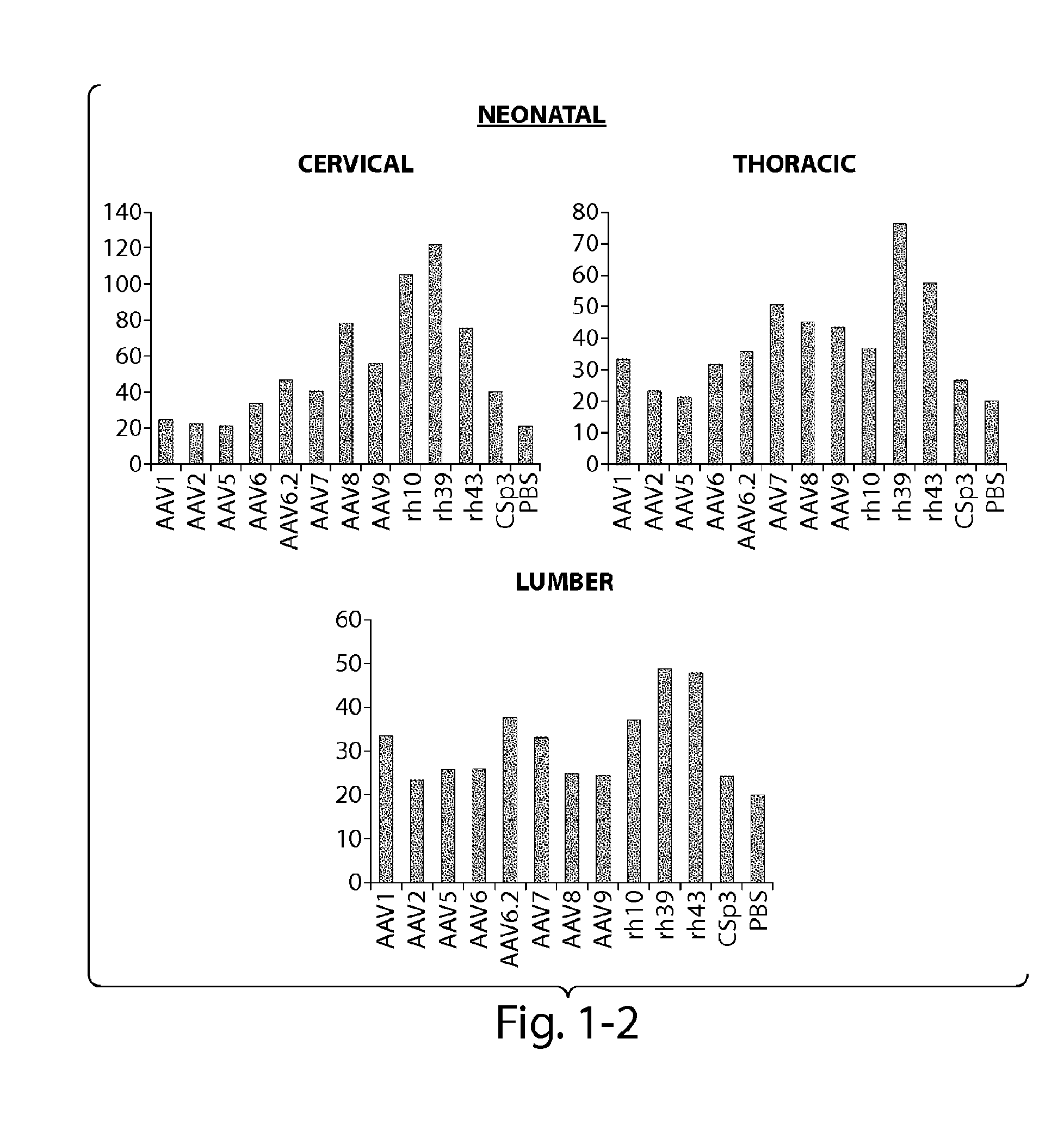 CNS targeting aav vectors and methods of use thereof