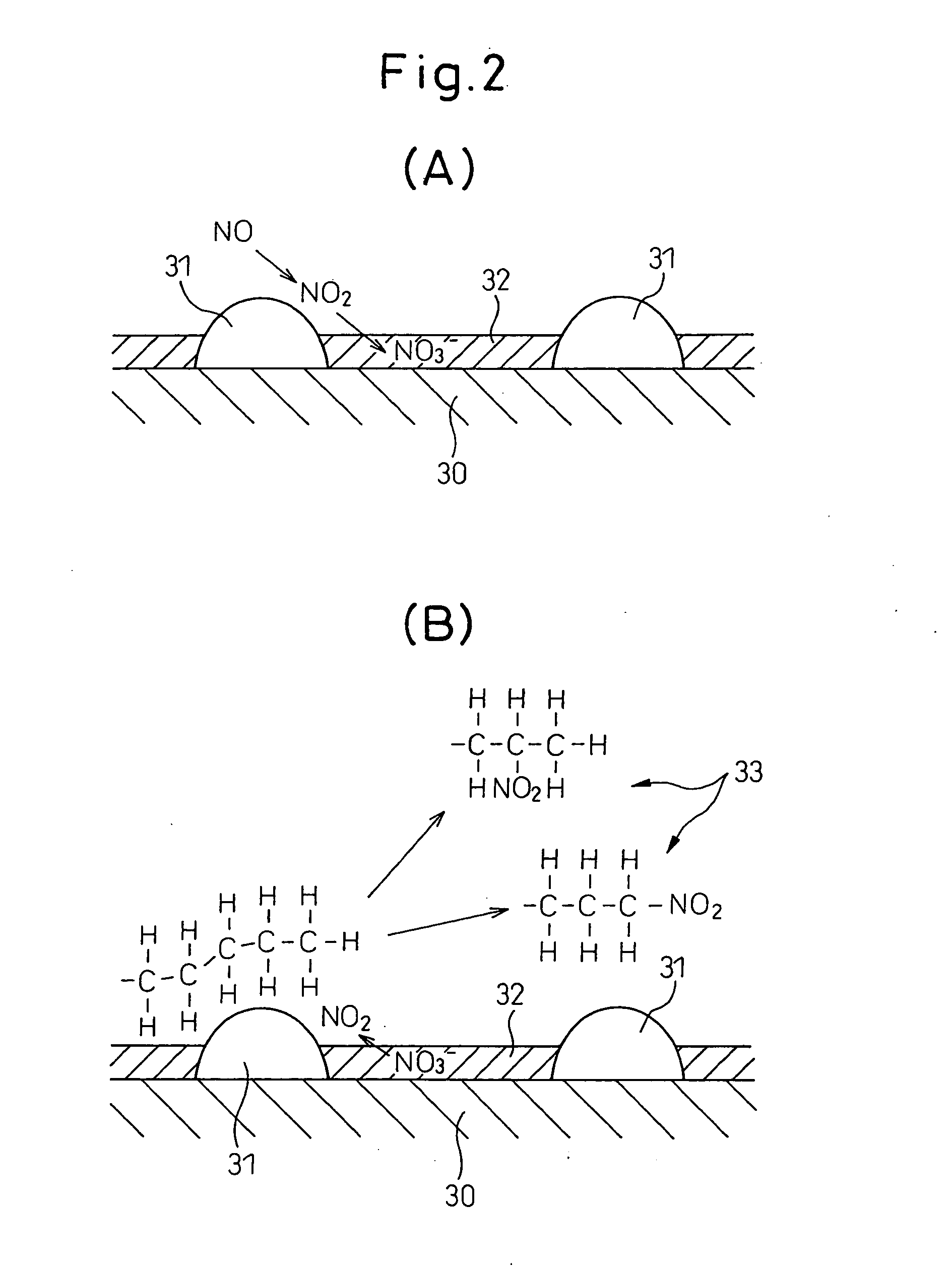 Exhaust Purification Device of an Internal Combustion Engine