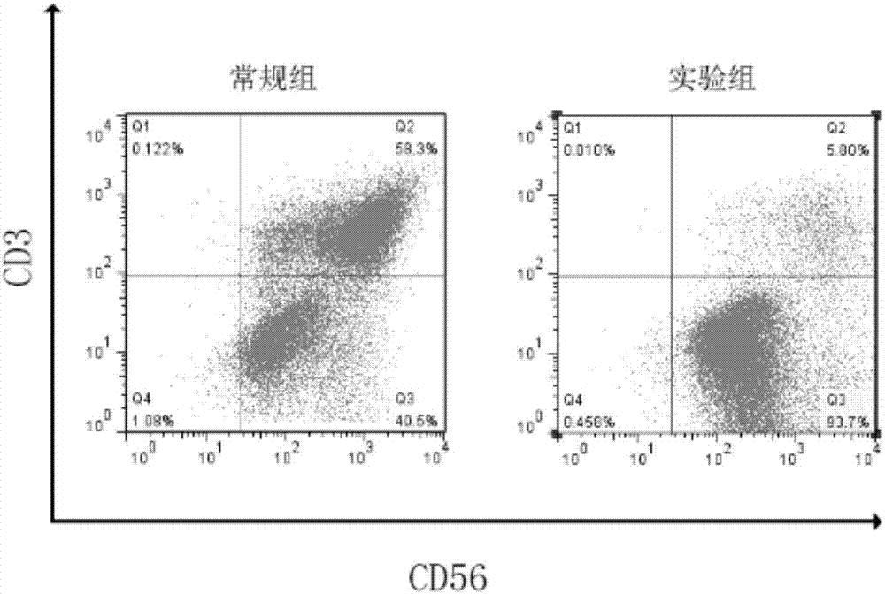 Method for abundantly amplifying NK (natural killer) cells from mononuclear cell of peripheral blood