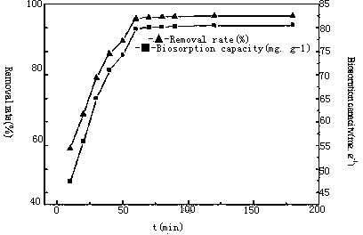 Method for repairing uranium (VI) polluted water body by using fungi treated by nonionic surfactant