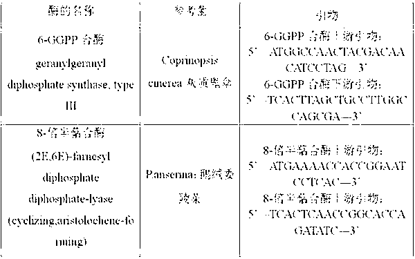 6-geranyl geranyl diphosphate (GGPP) synthase, 8-sesquiterpene synthase and pleuromutilin high-yield strains, and application of strains