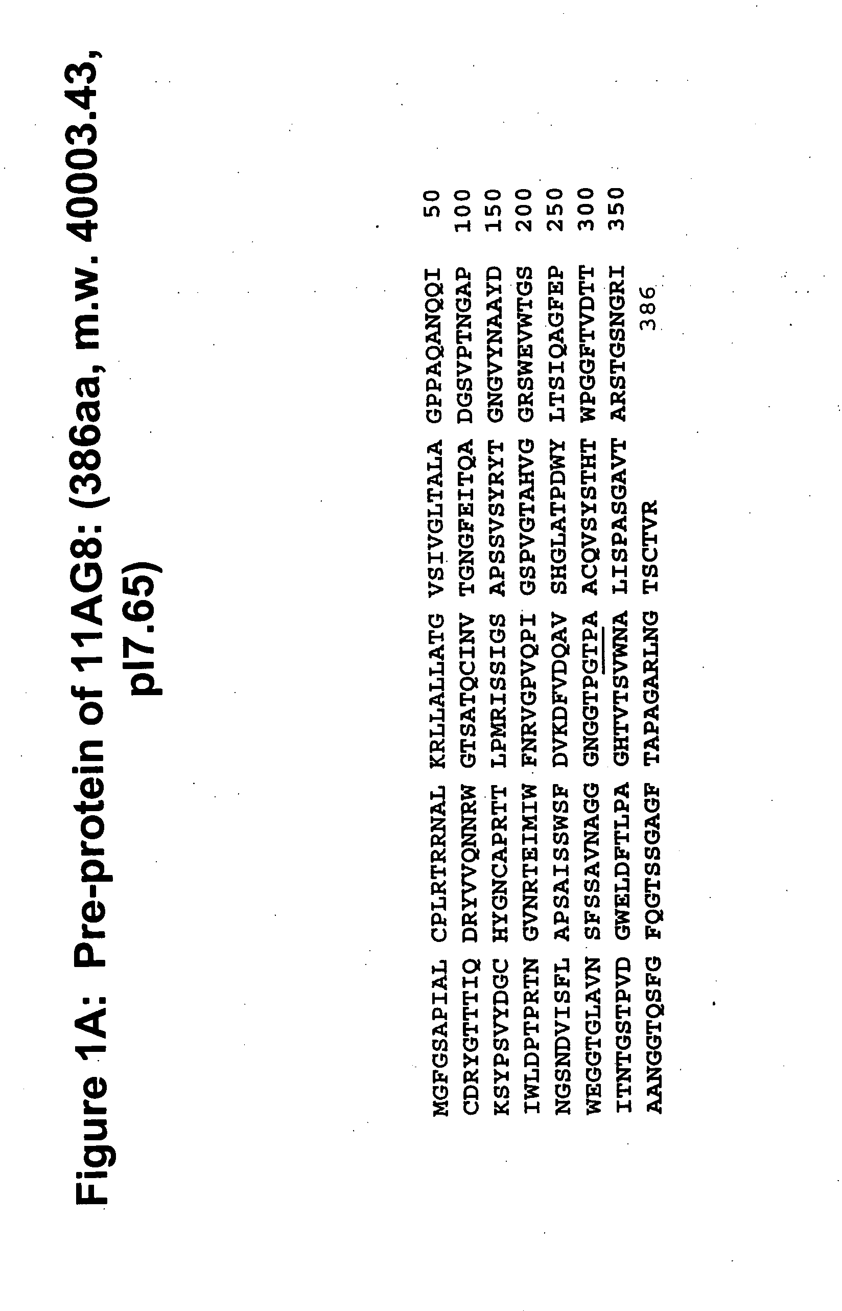 Neutral cellulase catalytic core and method of producing same