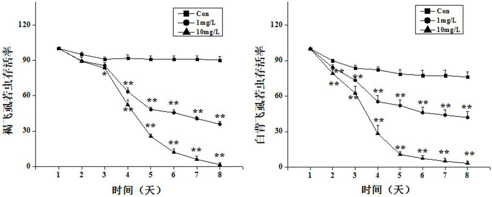 Method for stimulating rice induced insect resistance