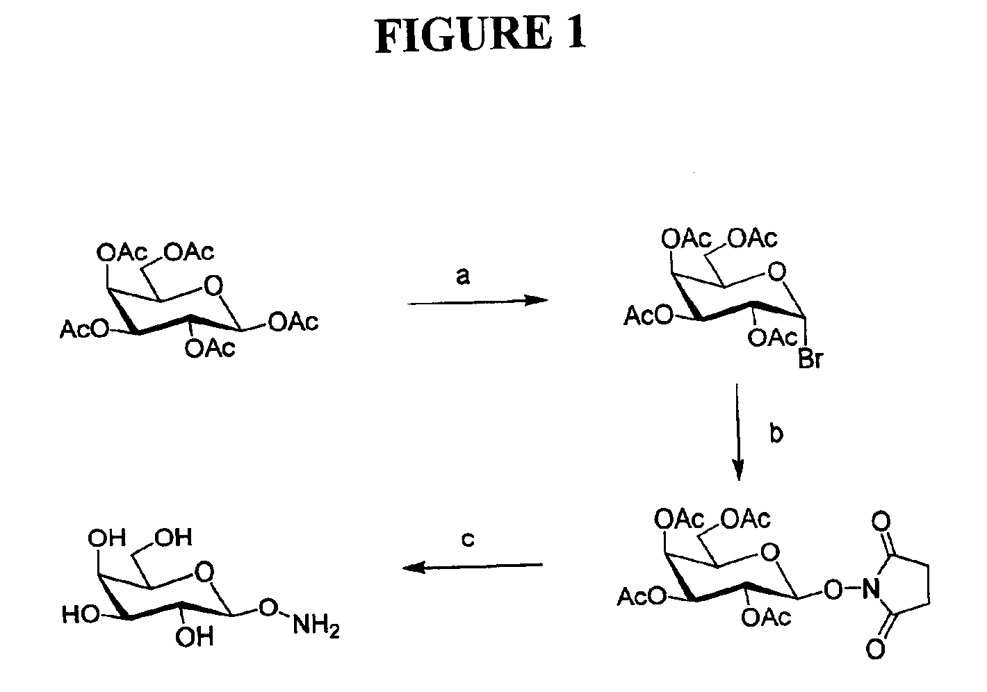 Oxime-linked polysaccharides and methods of preparing the same