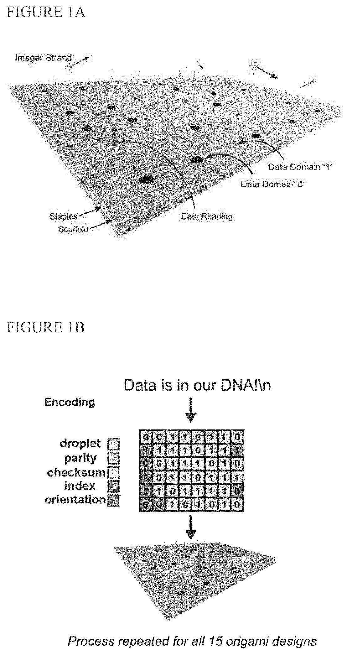 Nucleic acid memory (NAM) / digital nucleic acid memory (DNAM)
