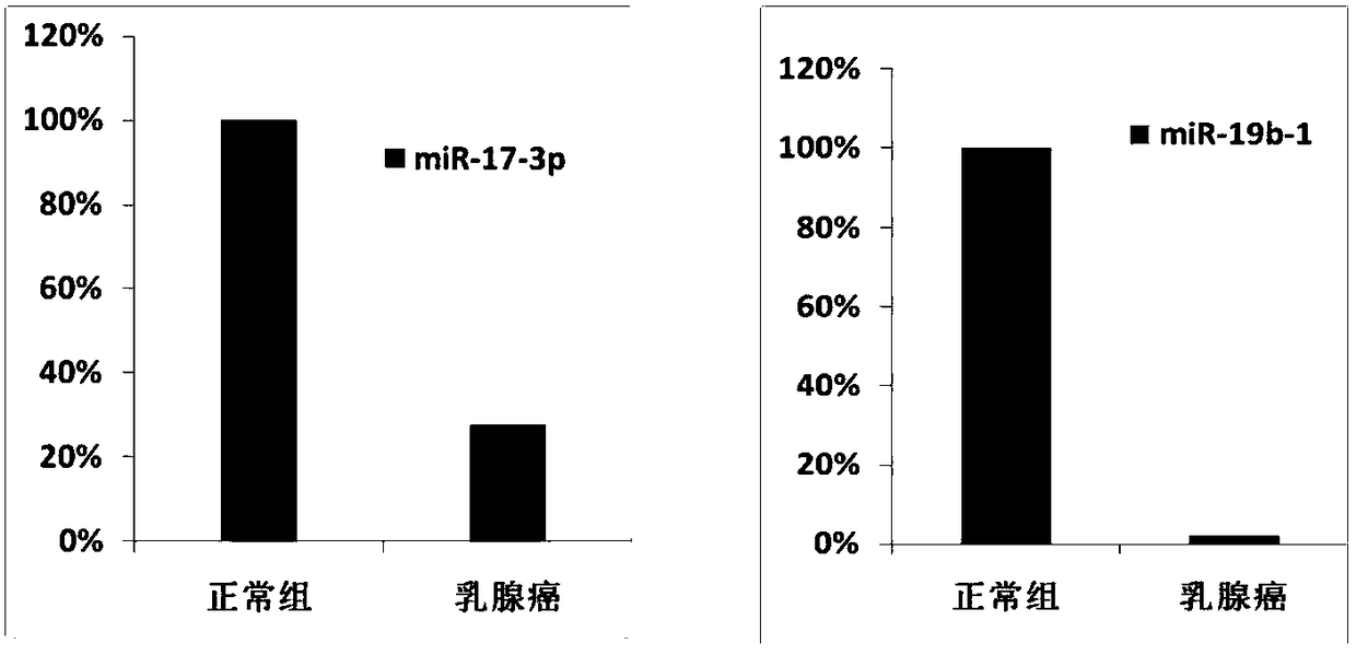 Compositions of mirna-17-3p and mirna-19b-1 and applications thereof