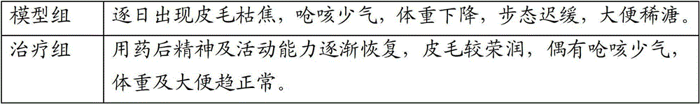 Oral traditional Chinese medicine for treating chronic simple rhinitis and preparation method thereof